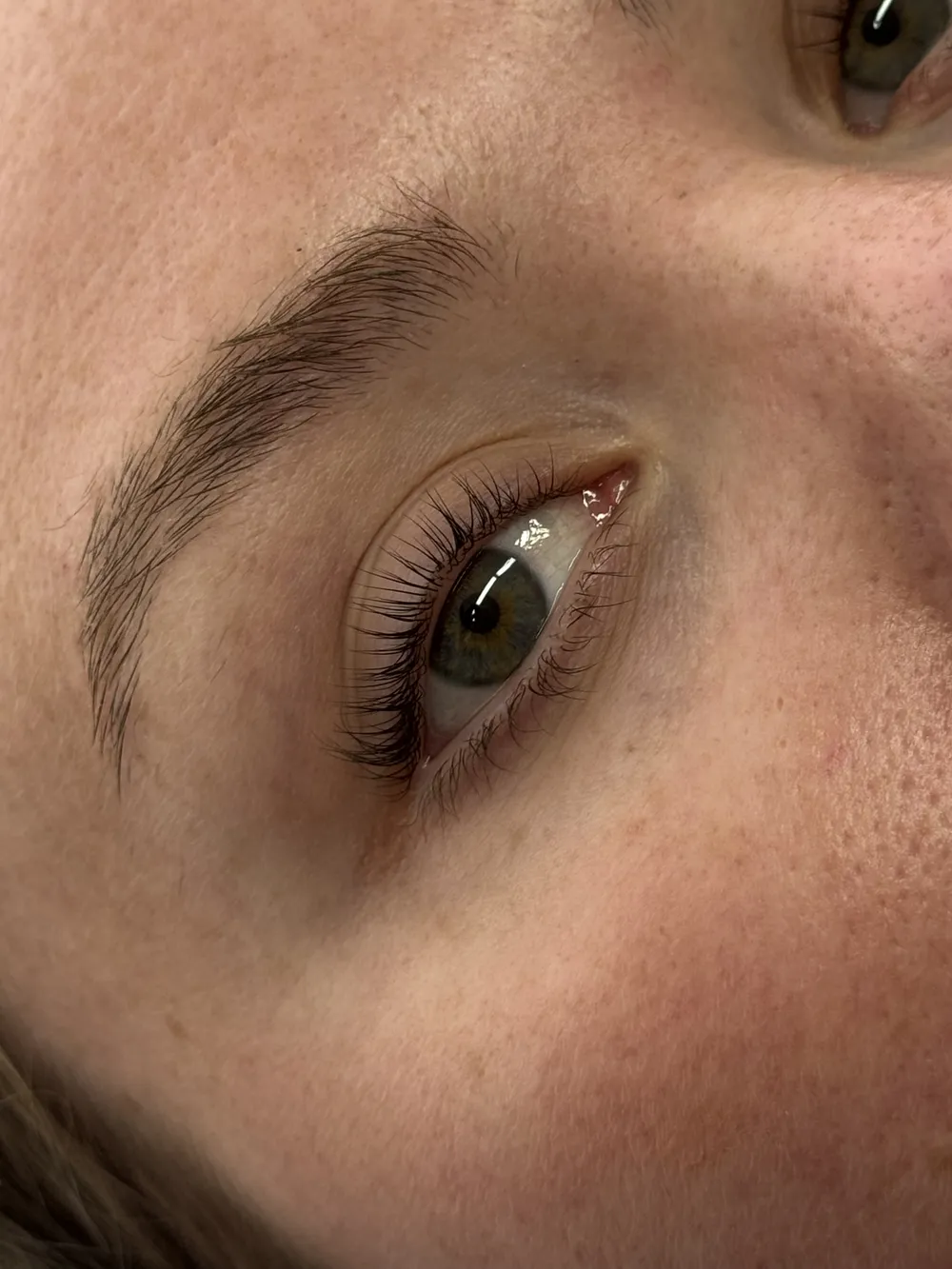 Lash Lift and Tint